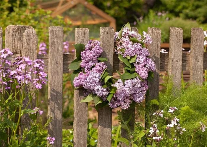 Schick eingerahmt: Gartenzäune sind nicht nur nützlich sondern auch schön Schick eingerahmt: Gartenzäune sind nicht nur nützlich sondern auch schön