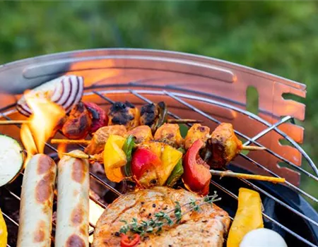 Smoker, Gas oder Holzkohle - Wie schmeckt Grillen am besten? Smoker, Gas oder Holzkohle - Wie schmeckt Grillen am besten?