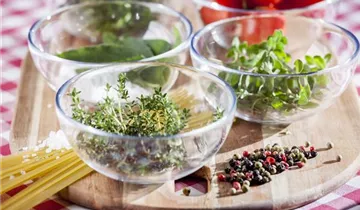 Zum Vergrößern klicken Bildvorschau